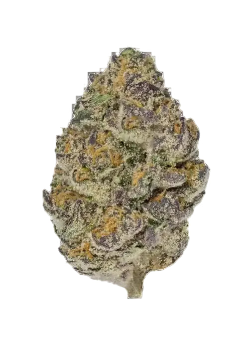 1325 Brand - THCa Flower - Orange Creme